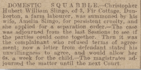 Domestic squabble, Bath Chronicle, Saturday 27 December 1919