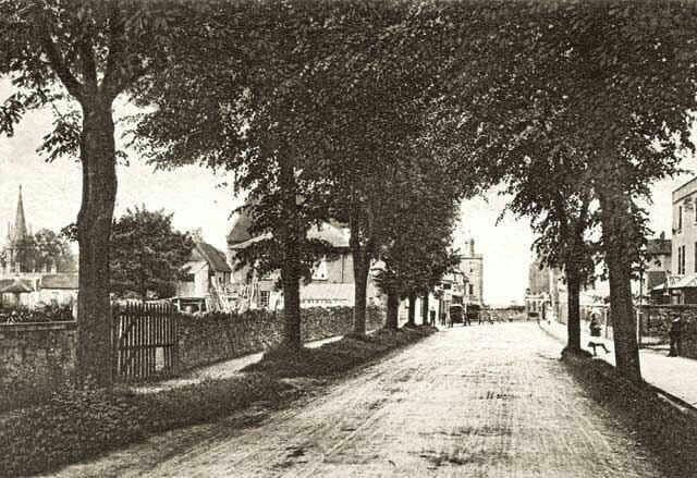 The Avenue Combe Down about 1908