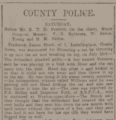 Frederick James Head of 1 Isabella Place, Combe Down, Bath summoned for ill treating a cat in Bath Chronicle and Weekly Gazette - Thursday 17 August 1899
