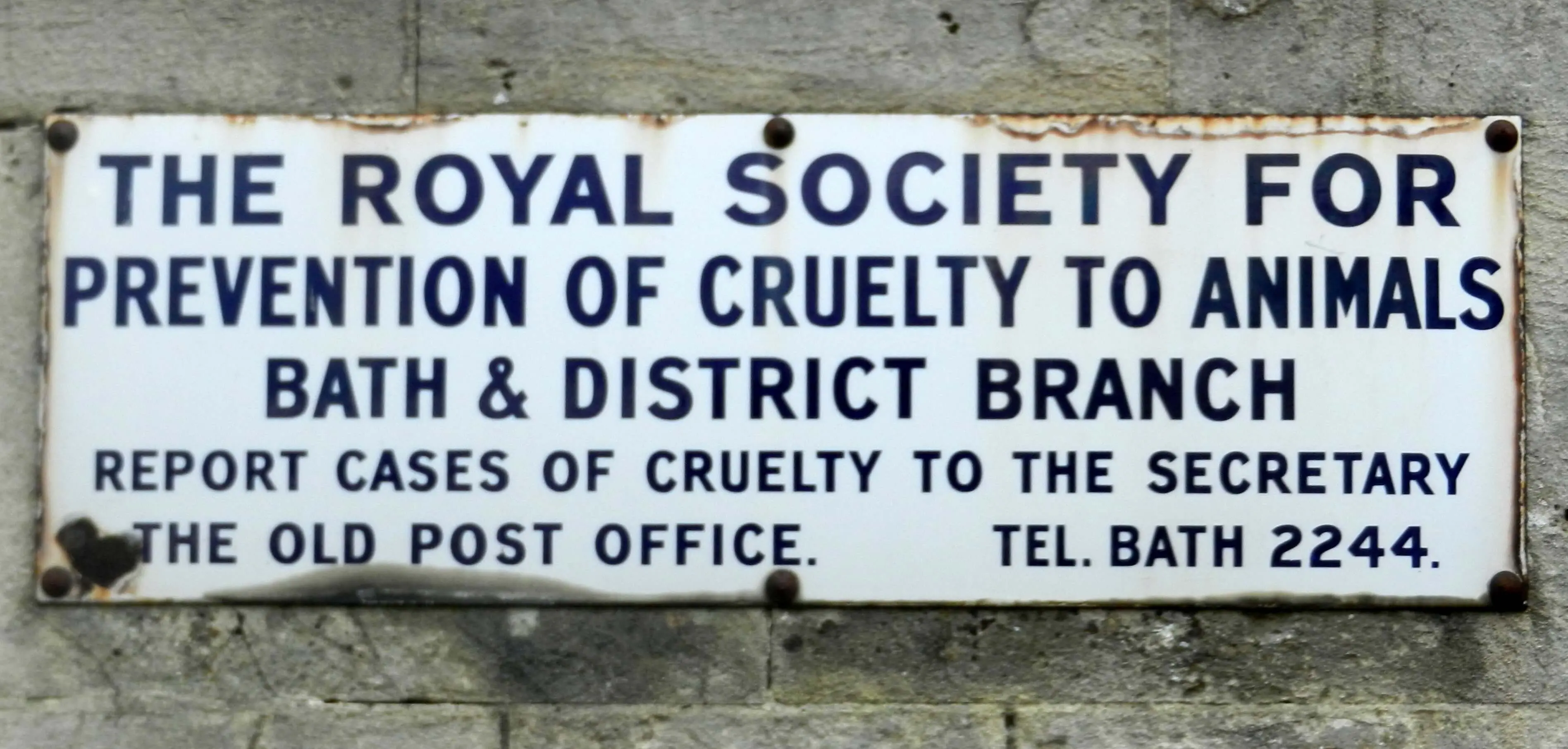 RSPCA sign at the end of The Avenue