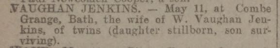 Vaughan-Jenkins births - Bath Chronicle and Weekly Gazette - Thursday 22 May 1902