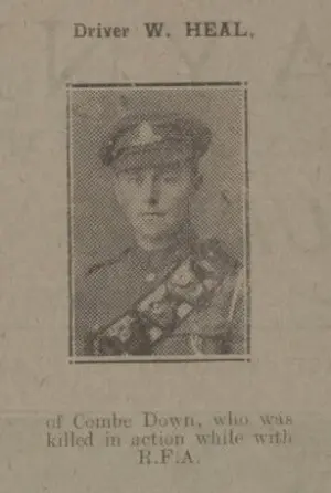 Driver W G Heal - Bath Chronicle and Weekly Gazette - Saturday 14 September 1918