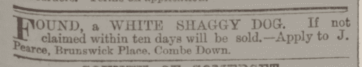Shaggy dog, Brunswick Place, Combe Down - Bath Chronicle and Weekly Gazette - Thursday 11 September 1873