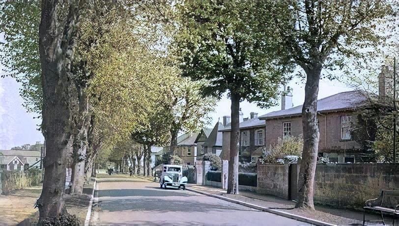 The Avenue, Combe Down, 1950s