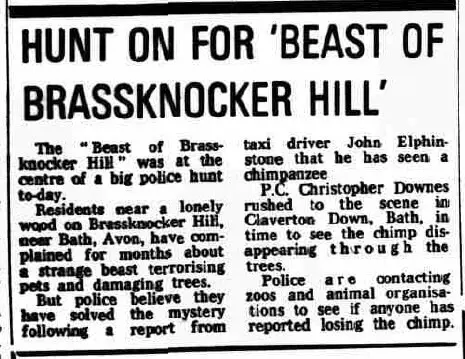 Beast of Brassknocker 1980